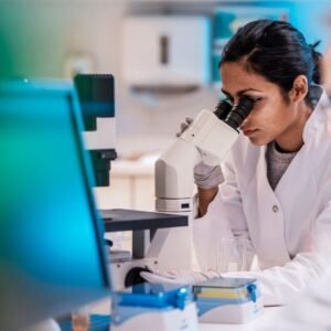 Section 2 Who We Are